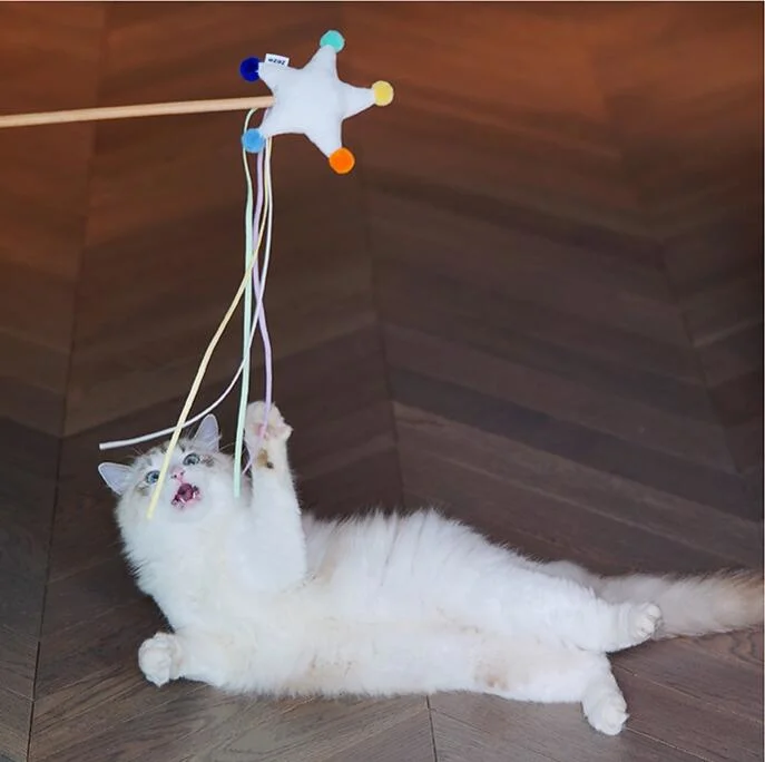 ISO RoHS Wholesale Pet Product Cat Toys with Cat Teaser Cute Star