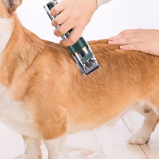 Pet Accessories ABS Dog Hair Brush Remover Ipx7 Waterproof Pet Grooming Brush