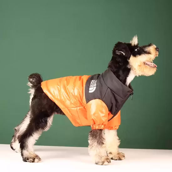 Hot Sale Luxury Dog Clothes Designer′s Dog Sweater Chihuahua Bulldog Winter Pet Clothes Pet Apparel