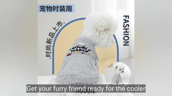 Cozy Pet Apparel for Cats: Trick or Treat Hoodie for Kittens 