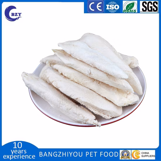 Petisland Pet Collar Wholesale Pet Products Medium Large Dog Stainless Buckle Braided Nylon Custom New Designed Snake Buckle Dog Training Collar