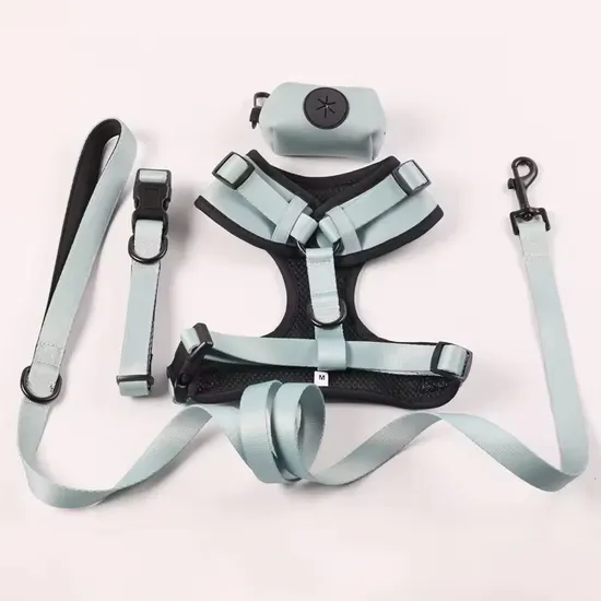 Pet Supplies Wholesale Personalized Dog Harness and Leash Luxury Design Custom Adjustable Solid Dog Harness Set 