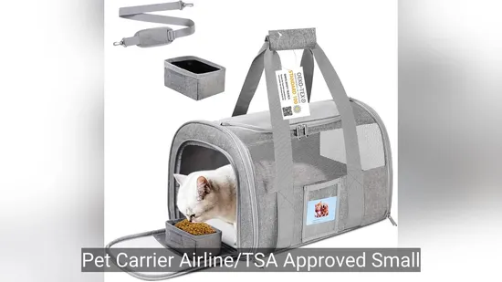 Pet Carrier Dogs Soft Sided Travel Tote Cats Sling Hands