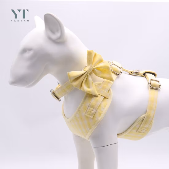 OEM Custom Logo Dog Leash Pet Leashes Dog Collar and Leash Set Designer Fashion Pet Dog Collar and Dog Leash