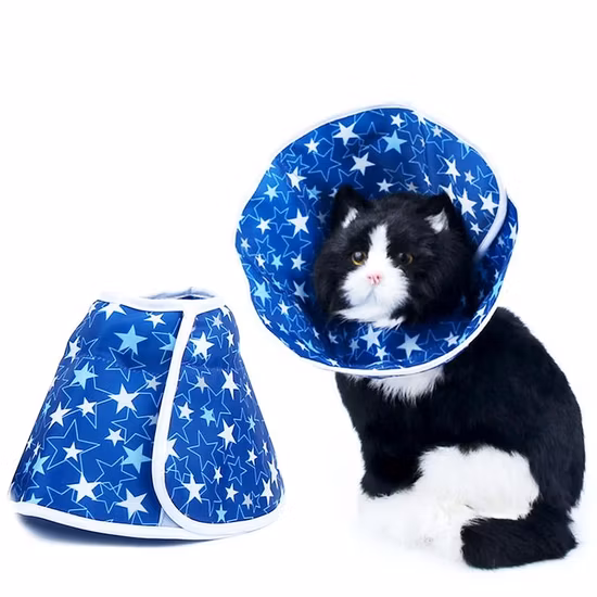Customizable Dog Elizabethan Collar Pet Cosmetology Surgery Anti Licking Pet Collar