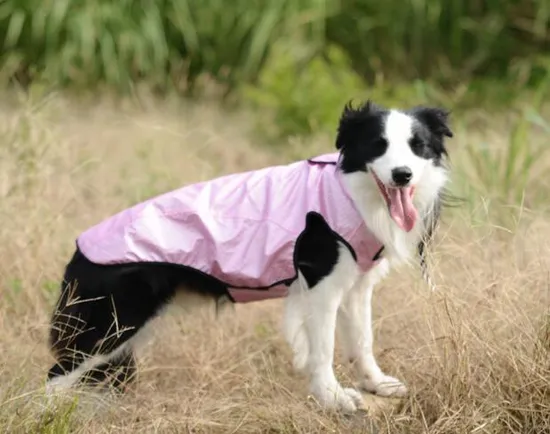 fashion Pet Apparel New Pet Vest Warm Winter Windproof Dog Jackets 