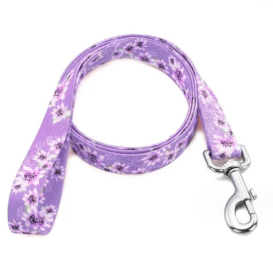 Solid Color Polyester Dog Leash 