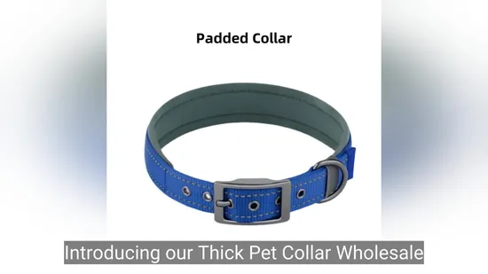 Nylon Small Dog Products Pet Supplies Pet Collar