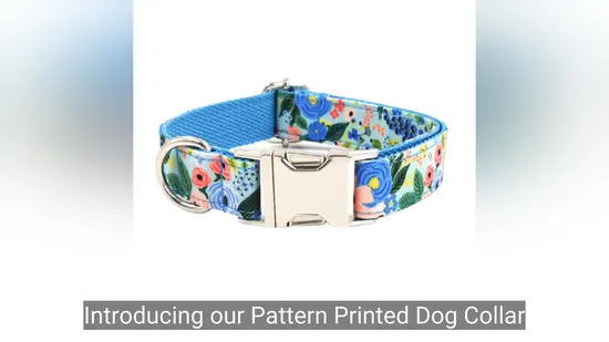 Pattern Printed Dog Collar Wholesale & Customization Flower Printing Nylon Polyester Metal Buckle Pet Collars 