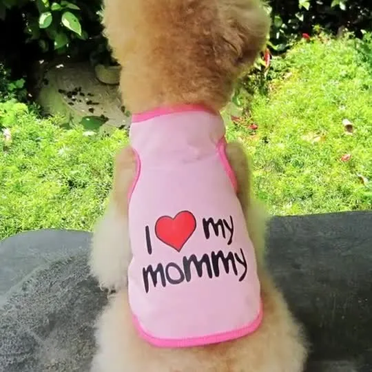 Factory Wholesale Cheap Pet clothes Dog Apparel
