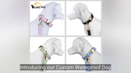 Dog Collar Custom Pet Product Waterproof PVC Collar Personalized Logo Adjustable Metal Buckle Soft Durable Pet Collar 